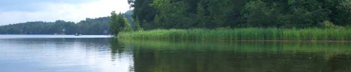 view of Lake Parker